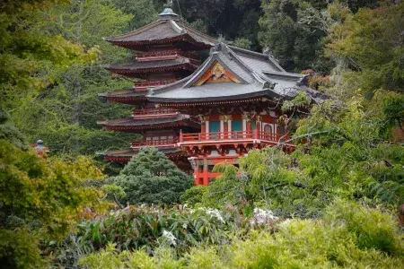 日本 Tea Garden