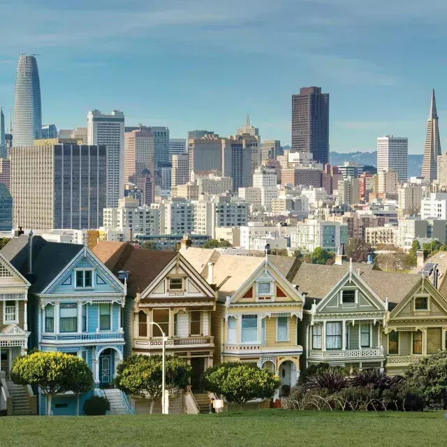 Los excursionistas se sientan en el césped del Alamo Square Park con las Damas Pintadas y el horizonte 威尼斯人官网平台app al fondo.